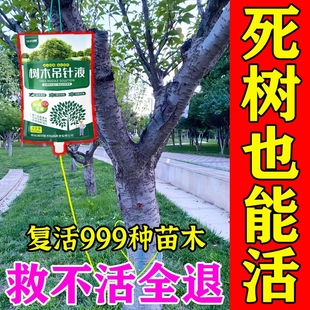 大树营养液吊针袋果树移栽树木激活液桂花树强力生根药水枯树复活
