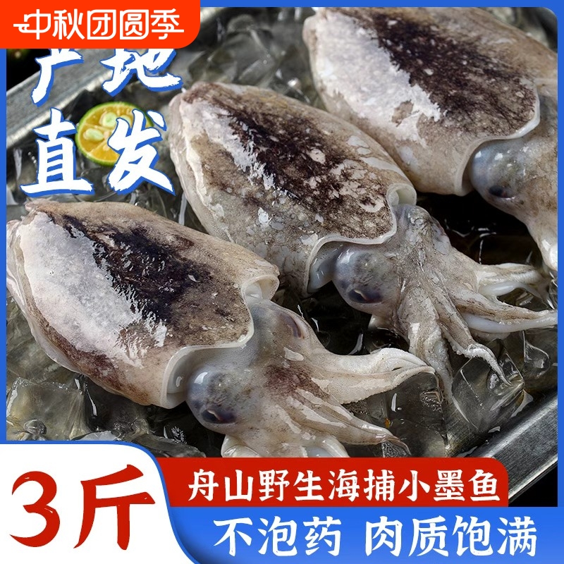 小墨鱼舟山野生海捕冷冻新鲜小墨鱼仔迷你小墨鱼章鱼乌贼鲜活水产