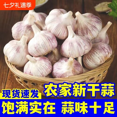 山东金乡紫白皮大蒜干蒜2026新蒜大蒜瓣无添加可做种可腌糖蒜