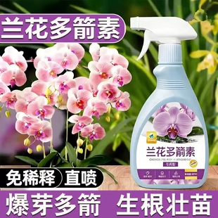兰花多箭素爆芽素专用营养液蝴蝶兰多剑王兰灵王营养液开花肥料