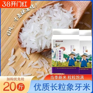 甄享猫牙上林县高山长粒米长粒香2025年新米大米丝苗象牙米真空