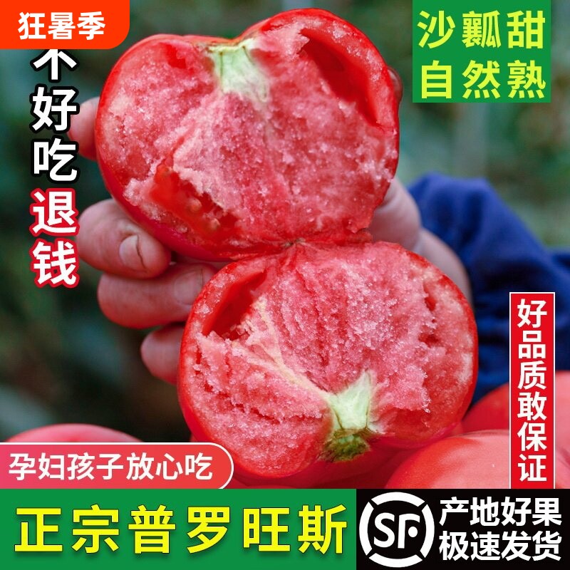 陕西泾阳普罗旺斯西红柿新鲜自然熟孕妇水果当季沙瓤生吃番茄蔬菜