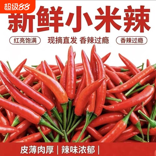 贵州小米椒现摘新鲜红辣椒朝天椒5斤当季蔬菜剁椒泡椒小米辣批发