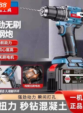 东城款大扭力无刷锂电小钢炮