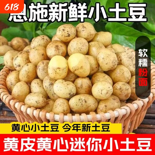 正宗恩施小土豆新鲜富硒
