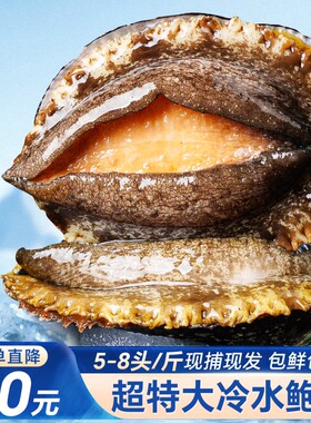 鲍鱼鲜活整只超大海鲜水产生鲜活特大冷冻加热即食干小鲍鱼捞汁饭