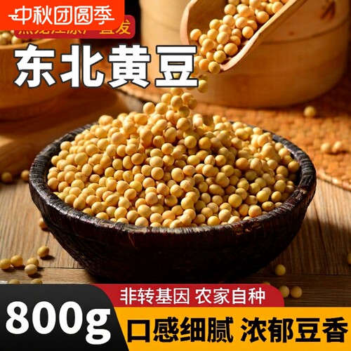 黄豆打豆浆专用三彩侬当季新豆东北农家自种非转基因大豆