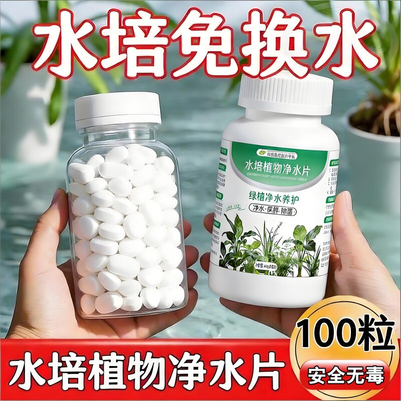 水培植物净水片鲜花花卉保鲜剂不臭水碗莲专用通用消毒片净化水质