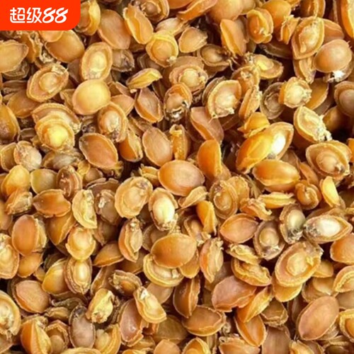 鲍鱼干货厚肉鲍鱼大连黄金干鲍仔迷你礼盒装货煲粥炖汤非即食