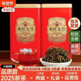 新茶英红九号正宗英德红茶叶果香浓香甜润耐泡金牙口粮送礼罐装