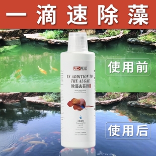 鱼缸除藻剂去水藻硝化细菌鱼池净水除绿藻除绿水亚甲基蓝水质褐藻