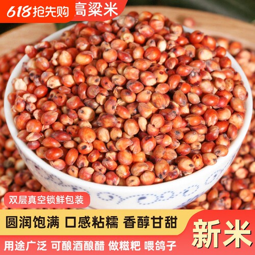 东红高粱酿酒酿醋梗五谷杂粮