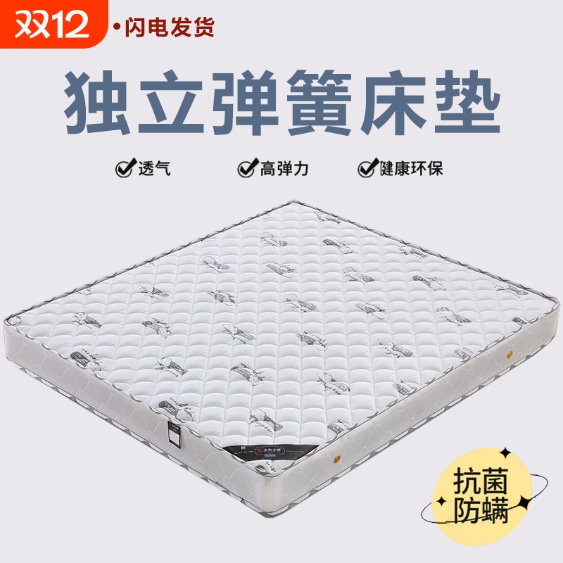 冬日阳光3E棕软硬适中扭力弹簧