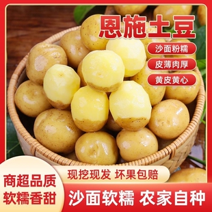 黄皮黄心土豆批发新鲜蔬菜洋芋现挖马铃薯整箱 恩施富硒小土豆