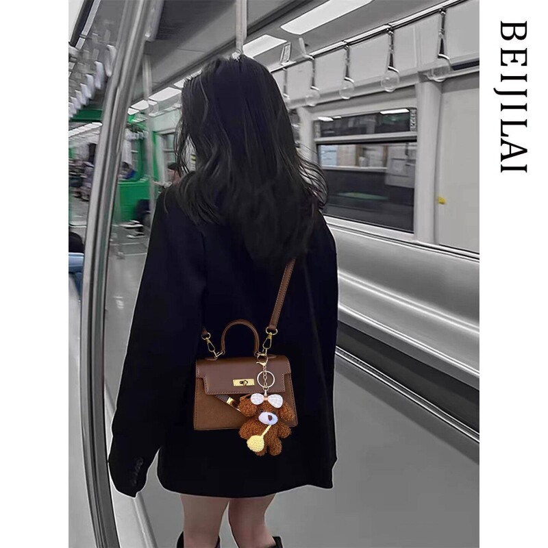 爱玛秋冬超火凯莉包包女式新款巨好看高级感轻奢小众斜链条单肩