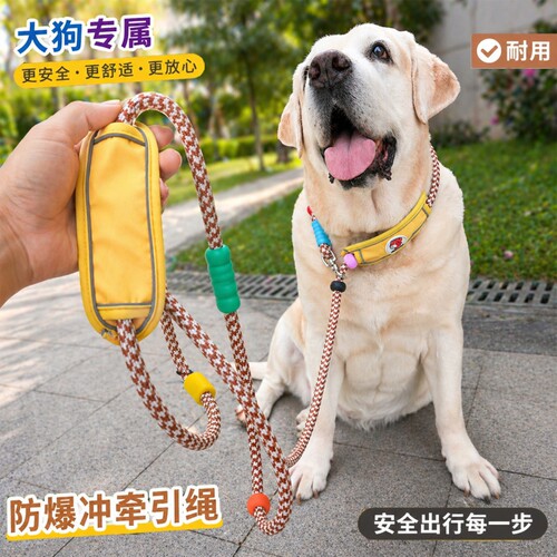 大狗加粗牵引绳 狗绳狗链脖圈宠物遛狗P链圈防爆冲幼犬多功能项圈