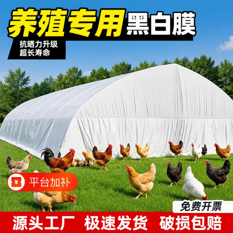 大棚专用黑白膜养殖加厚防晒鱼塘防渗膜隔热反光膜塑料膜防水薄膜