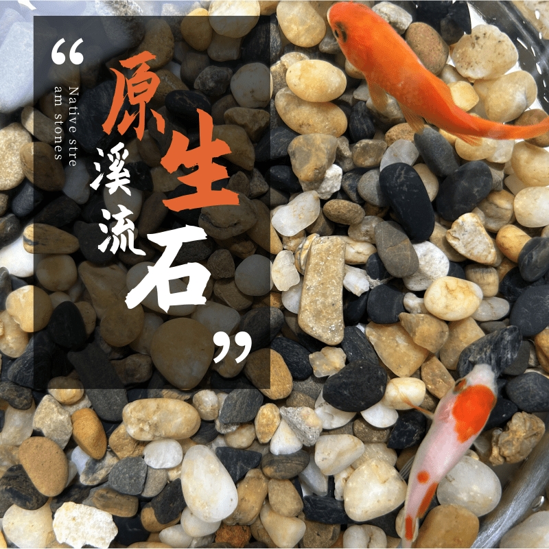 溪流石沙鱼缸底砂原生溪流乌龟缸造景石沙天然摆件水族箱铺底专用