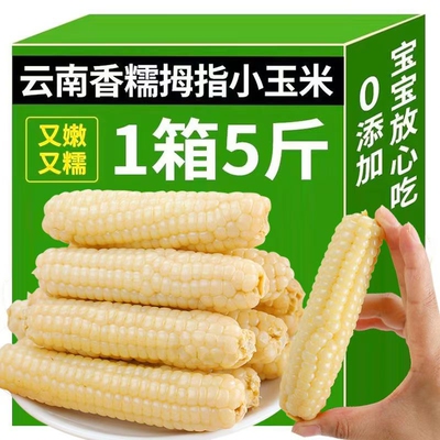 拇指玉米云南西双版纳真空糯小新鲜即食玉米棒早餐手指香甜年货