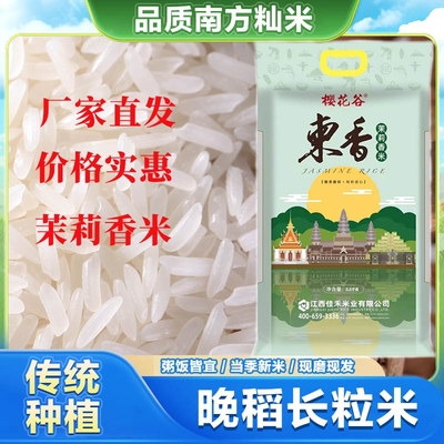 大米厂家直发当季茉莉香米长粒优质丝苗米籼米长粒香米农家大米