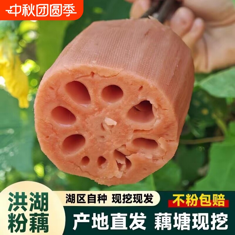 正宗洪湖粉藕九孔藕煲汤藕糯米藕图片