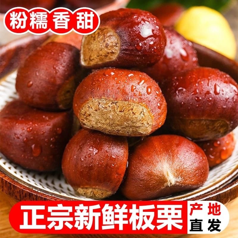 正宗2025年新鲜生现摘丹东板栗栗子锥油栗仁蔬罗田大板栗新货