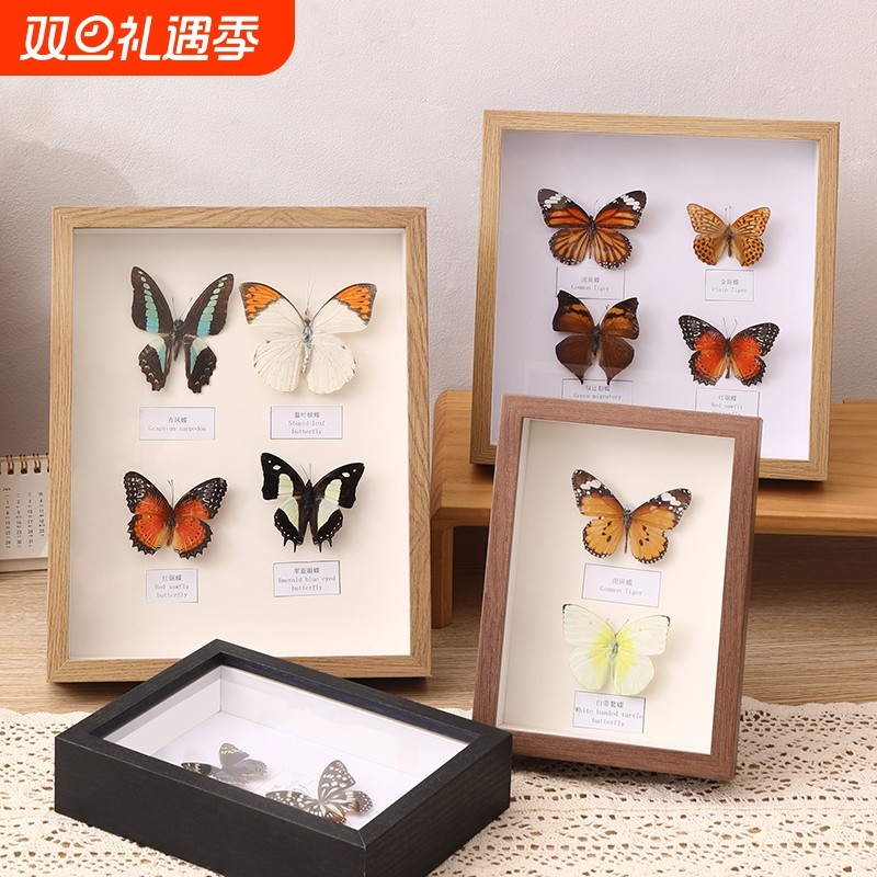 中空相框摆台手工diy蝴蝶a4昆虫标本盒立体框干花保存展示框画框