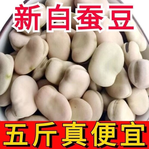 云南农家蚕豆干货生蚕豆干蚕豆生生特产胡豆农家佛豆生干货