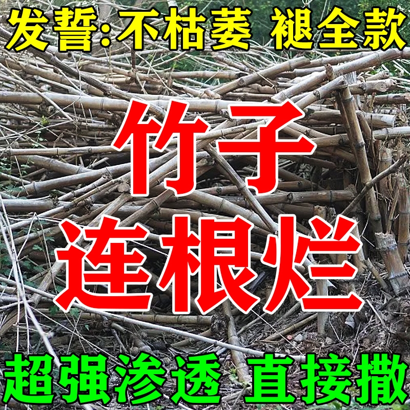 竹子烂根专用药竹根连根除杂草大树烂根强力粉剂枯树王腐树灭根J