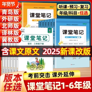 正版培状元新版课堂笔记2025青岛版小学一二三四五六年级上下册同步青岛版数学课本教材讲解63学制青岛版数学教材笔记读书笔记