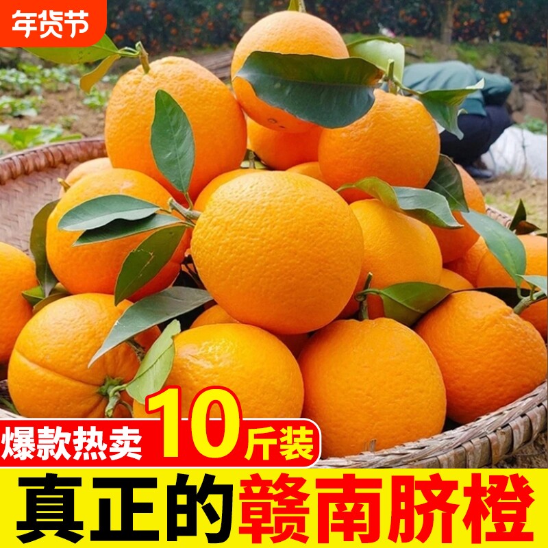 正宗赣南脐橙江西当季现摘新鲜橙子果园农场直发榨汁水果甜橙年货