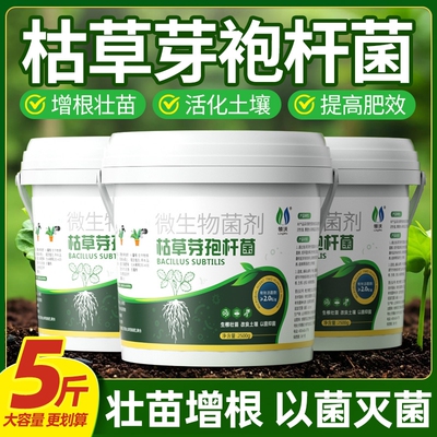 枯草芽孢杆菌微生物菌剂土壤肥料
