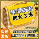 野餐垫防潮加厚户外春游地垫露营防水ins便携垫子草坪野炊坐垫