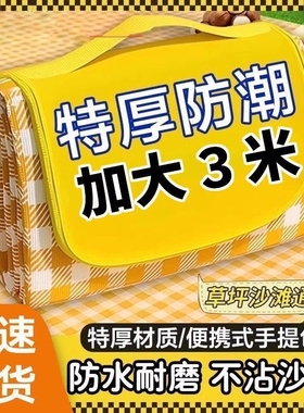 野餐垫防潮加厚户外春游地垫露营防水ins便携垫子草坪野炊坐垫