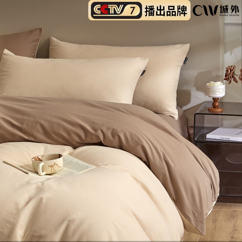 轻奢磨毛床上四件套纯棉全棉2024新款秋冬加厚被套床单床品高级感