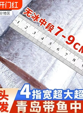 带鱼新鲜冷冻刀鱼段中段无冰特级东海小眼海鱼整箱10鲜活水产精品