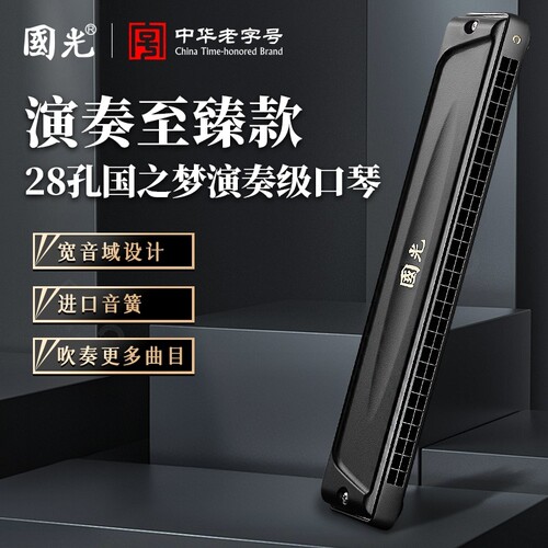 进口音簧国光口琴24孔复音C调