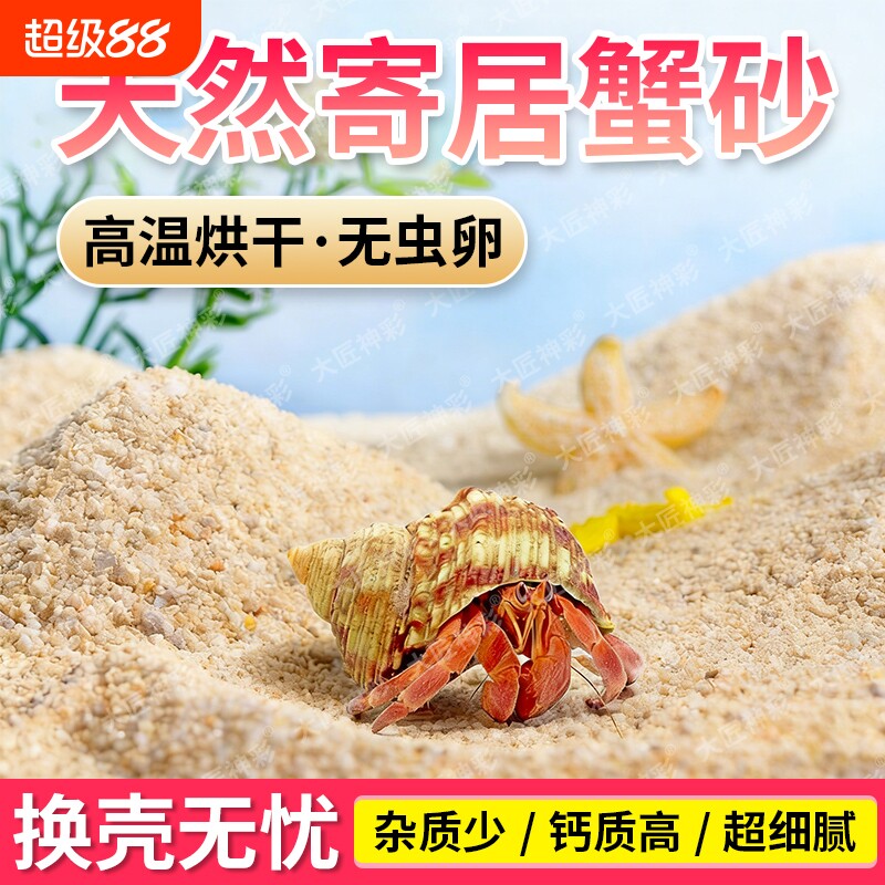 天然海沙寄居蟹沙子专用养蟹螃蟹乌龟沙颗粒底砂细沙免洗平台石子图片