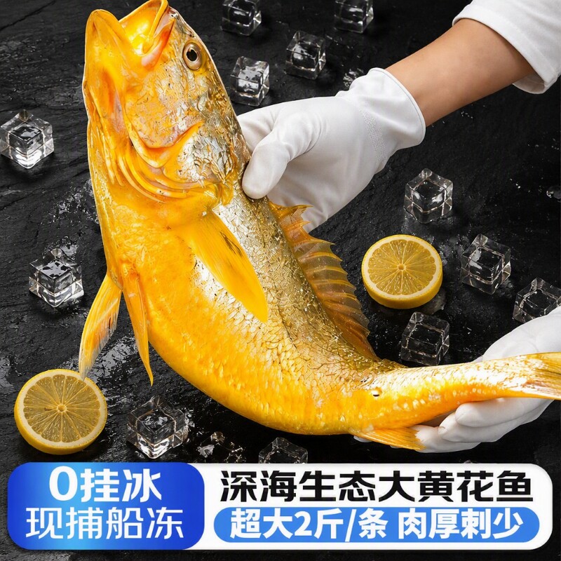 黄花鱼新鲜冷冻大黄鱼鲜活深海小黄鱼半野生年货海鲜2斤一条水产