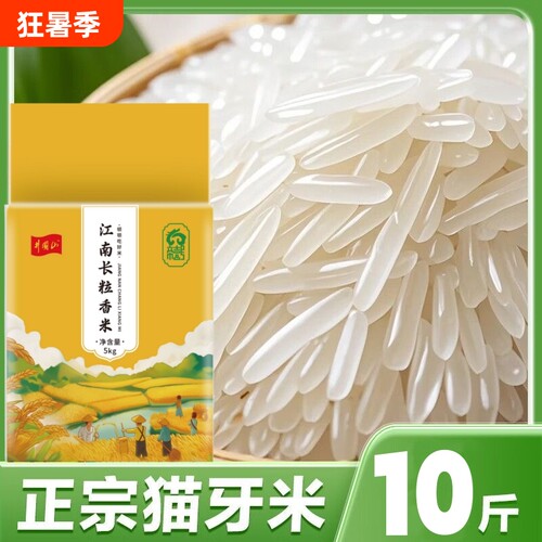 猫牙米长粒香米官方大米新米泰国香米丝苗米油粘10斤食用富硒籼米