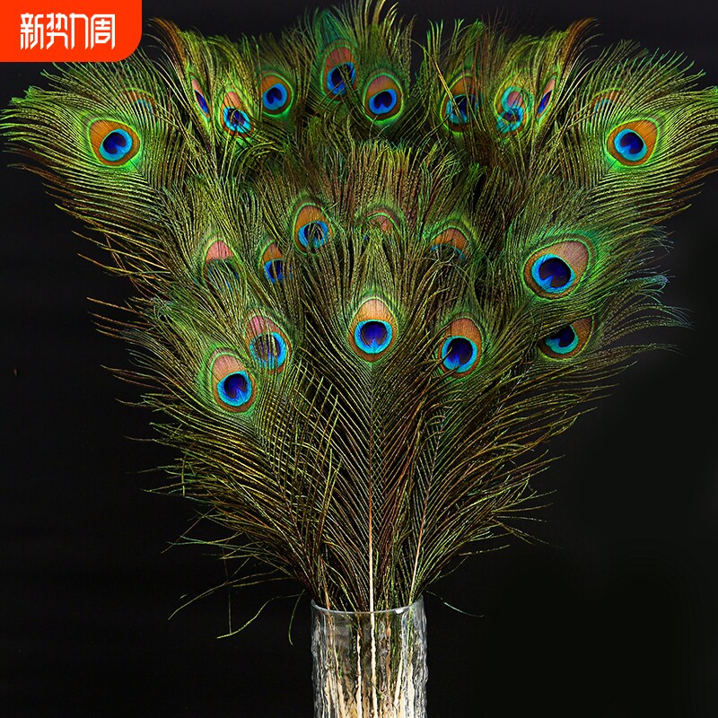 2024新天然孔雀羽毛家居饰品摆件真孔雀毛花瓶孔雀翎尾羽毛装客厅