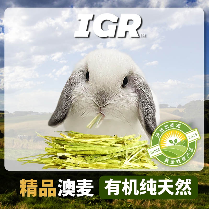 澳麦草黄金燕麦草兔子食用进口专用干草豚鼠荷兰猪龙猫草料兔饲料