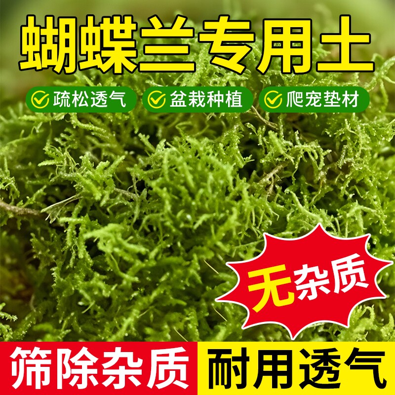 干苔藓水苔青苔兰花蝴蝶兰石斛种植专用营养土植料乌龟水台盆栽