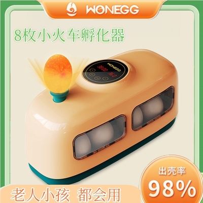 HHD家用孵化器小型孵化箱小鸡芦丁鸡鸟孵蛋鹦鹉鹌鹑鸡蛋可孵化
