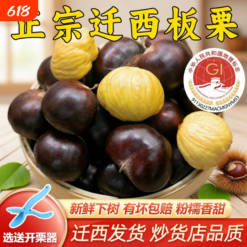 迁西新鲜板栗生鲜板栗大油栗子河北省唐山燕山板栗小毛栗子包邮