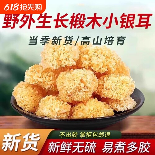 椴木小银耳干货非特级野生银耳新货雪耳白木耳无硫丑耳本草新鲜