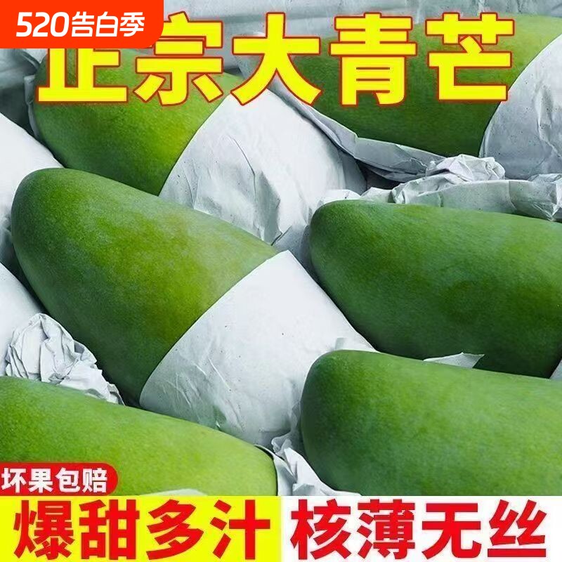 大青芒脆甜芒果生熟两吃越南薄皮金煌芒正宗当季新鲜芒果