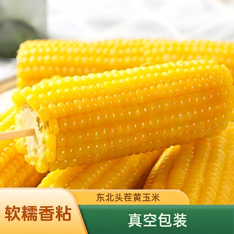 东北黄糯玉米大棒新鲜玉米真空锁鲜松原糯玉米粗粮香甜软糯现摘