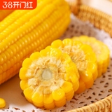 五寨黄糯有机玉米220g*8根  券后15.3元包邮