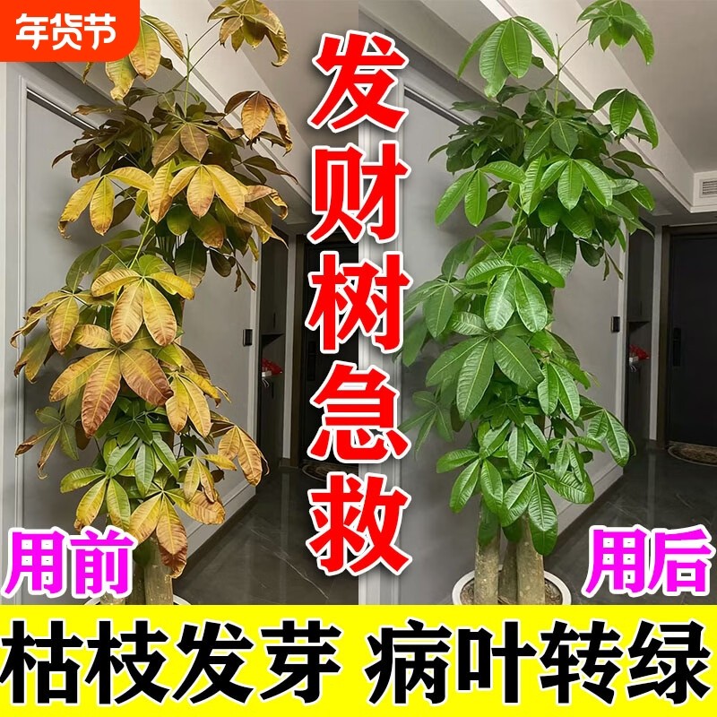 发财树专用营养液叶子发黄掉水培植物枯叶烂根再生剂肥通用型开花,鲜花速递/花卉仿真/绿植园艺,家庭园艺肥料,淘宝优惠券,粉丝福利购,淘宝优惠卷